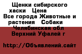 Щенки сибирского хаски › Цена ­ 12 000 - Все города Животные и растения » Собаки   . Челябинская обл.,Верхний Уфалей г.